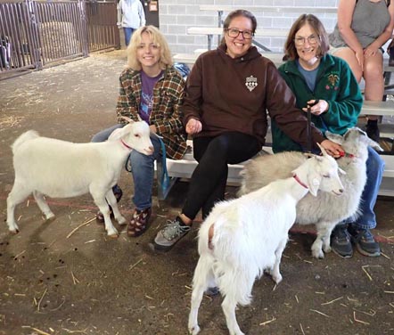 3 people waiting to show goats